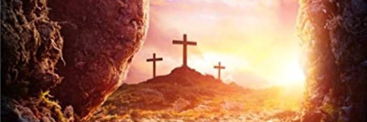 PPjacobson81's profile banner image