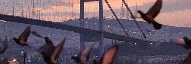 soz_7's profile banner image