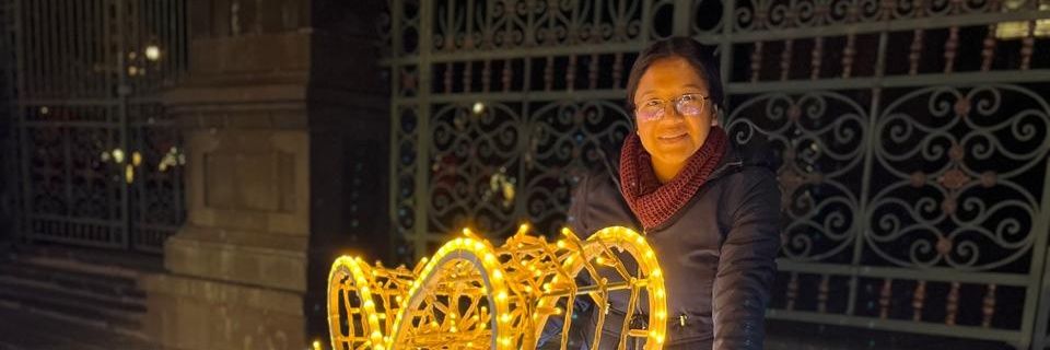 NoeliaCalixto's profile banner image