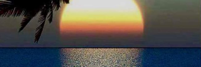 Phantom_409's profile banner image