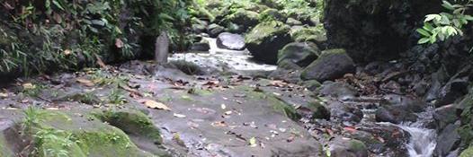 Maria Fadiman banner