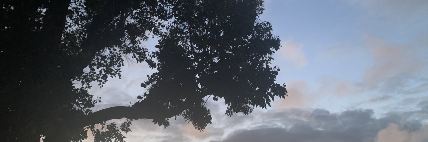 louwlx's profile banner image