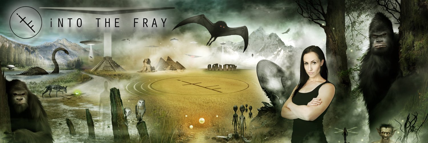 iNTO THE FRAY banner