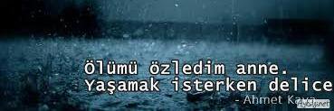 cemal145316's profile banner image