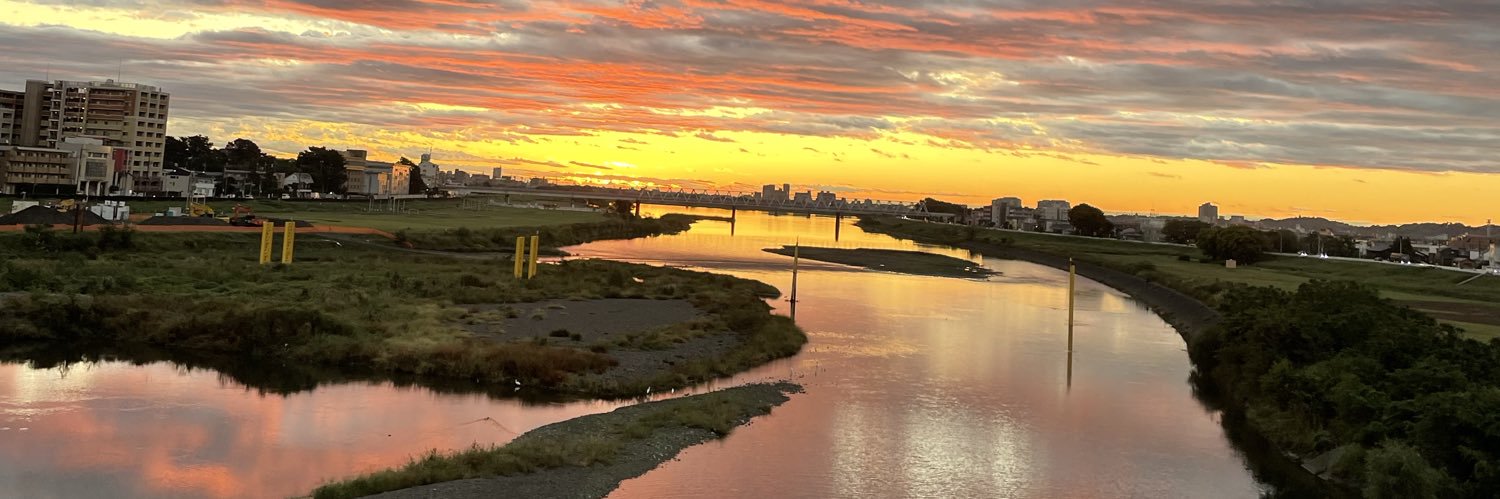 ﾛﾊﾞｰﾄ‎🍙ｺﾛｺﾛ(´□`*)🌵🌍が平和になりますように🕊 banner