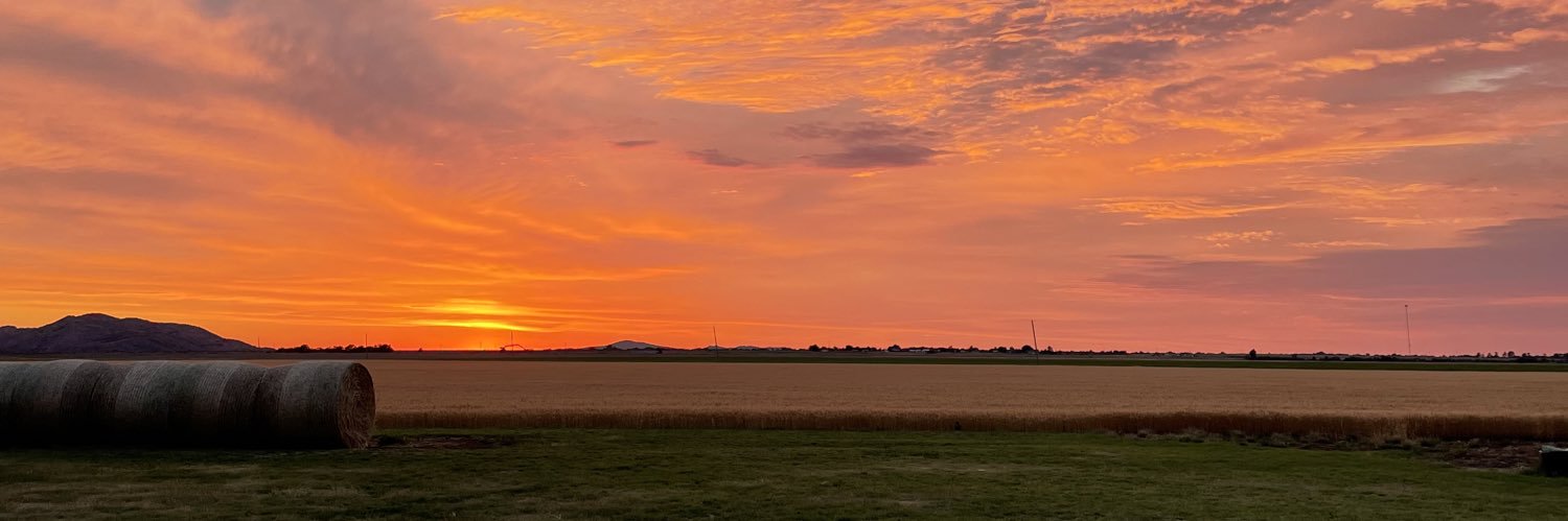 CSchaufele13's profile banner image