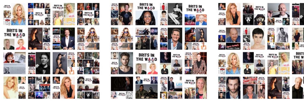 BRITS IN THE WOOD banner