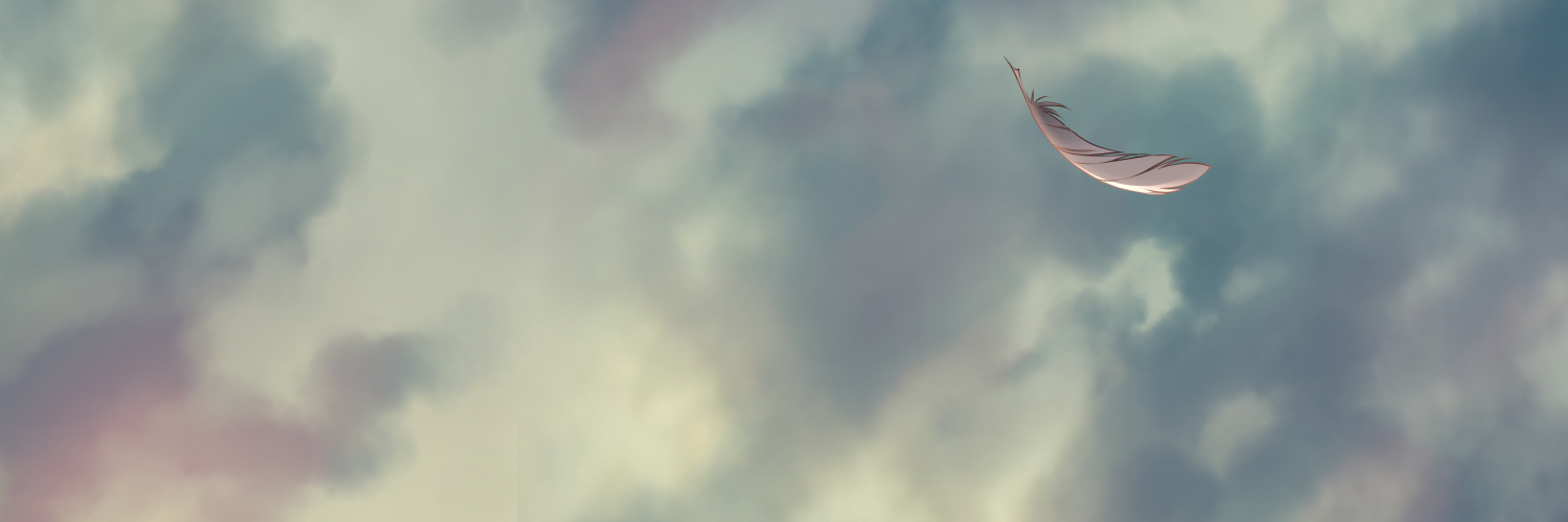 sasha banner