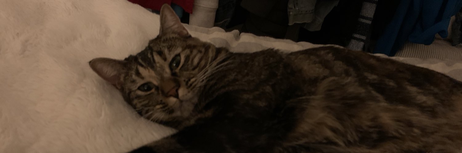 jocelyncarreen's profile banner image