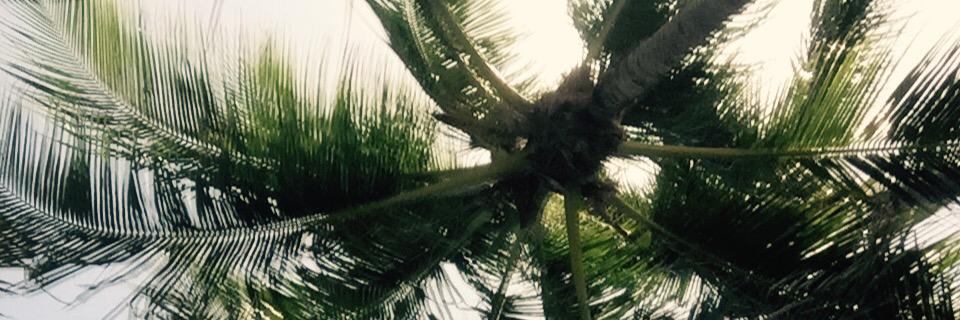 getLo_19's profile banner image