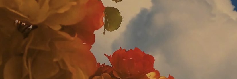 asinglelover's profile banner image