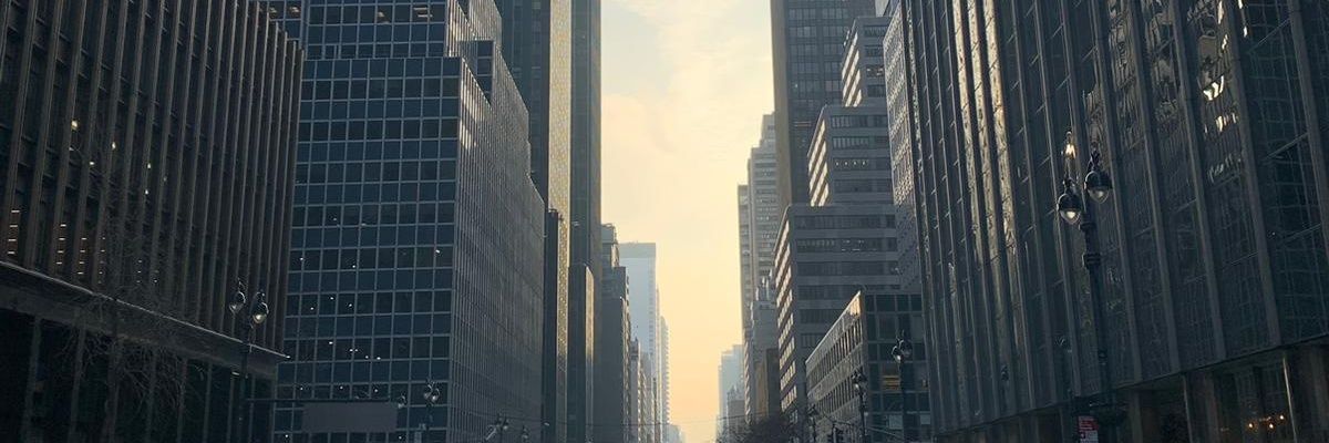lea_arrigoni's profile banner image