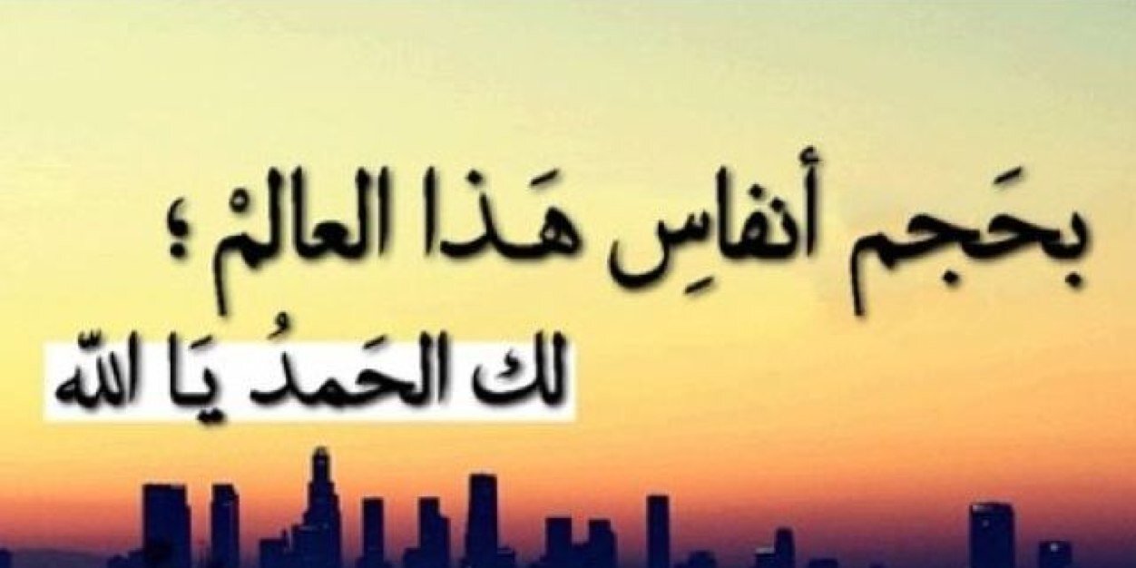 ‏Soso🦋 banner