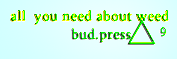 reeferals's profile banner image