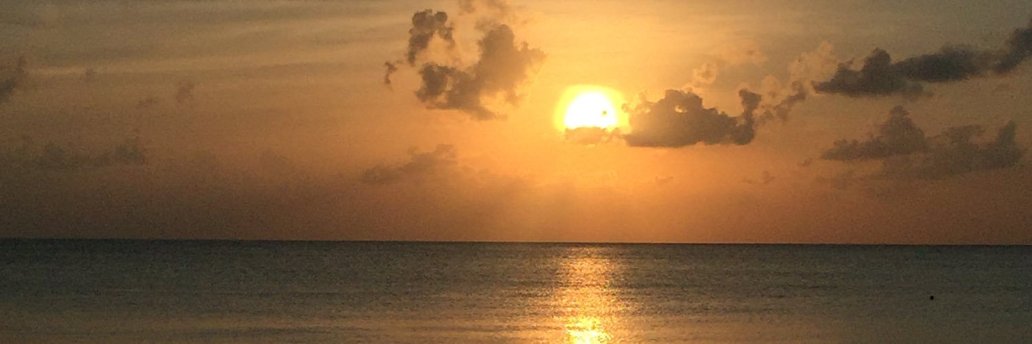 melis_dibac's profile banner image