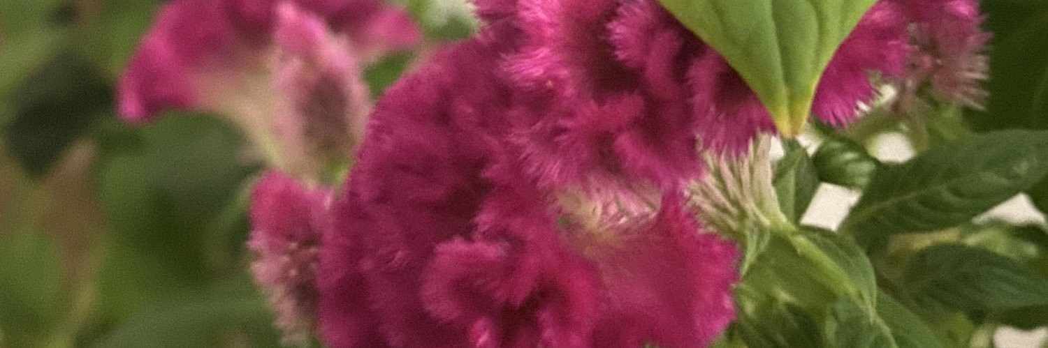 ronnpope's profile banner image