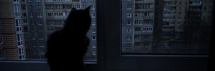 VIMIISKINGG's profile banner image