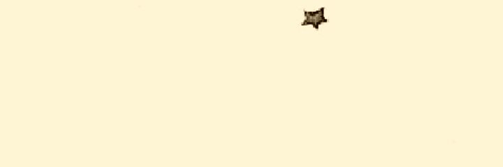 Ester banner