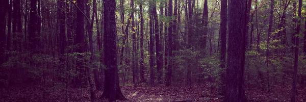 AnnaKMorrison Profile Banner