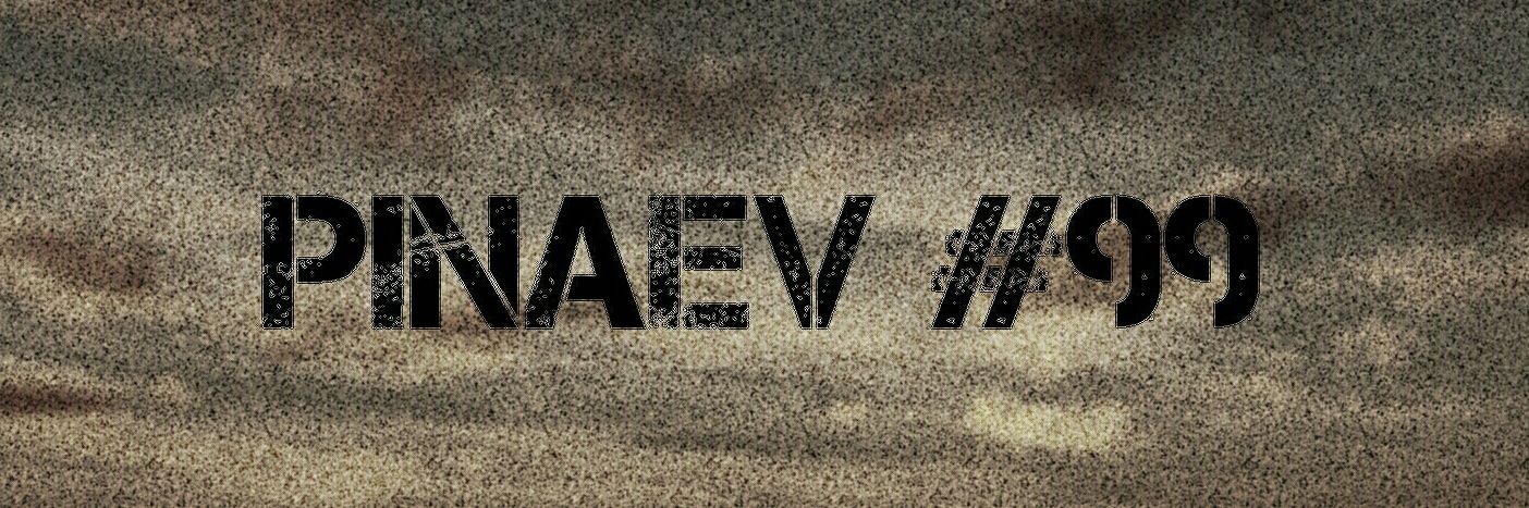 Pinaev59's profile banner image