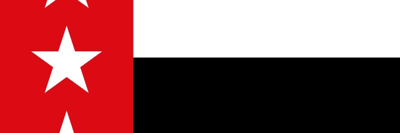 Luis Garza banner