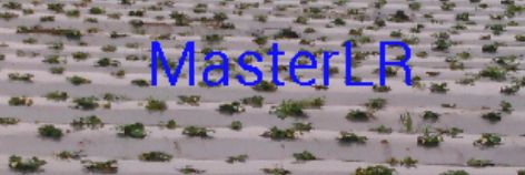 MasterLR18's profile banner image