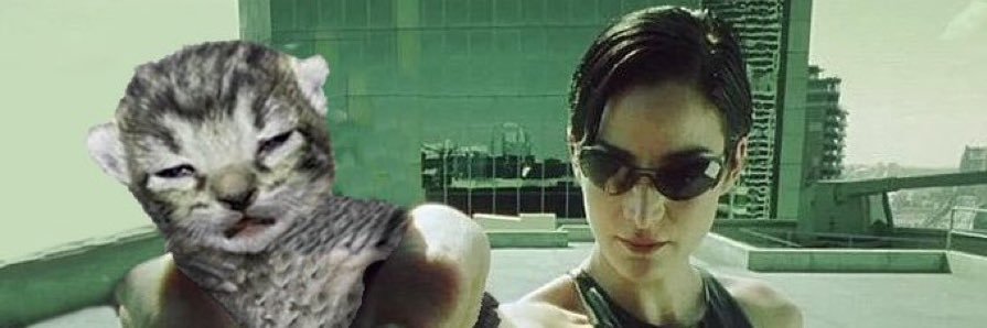 Beccs3333's profile banner image