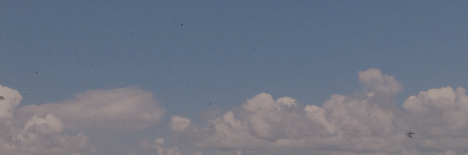 guaremelons's profile banner image