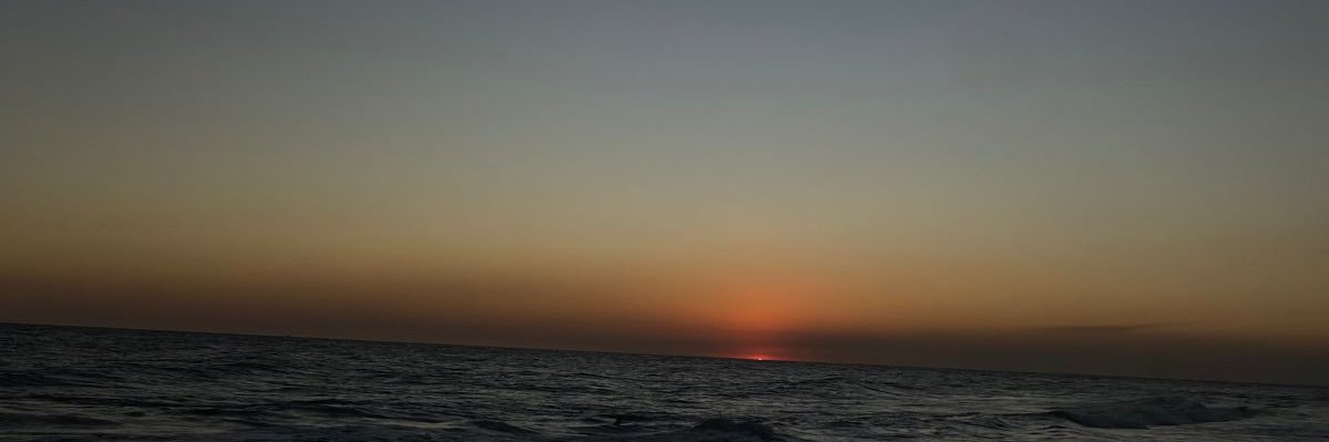 Ari banner