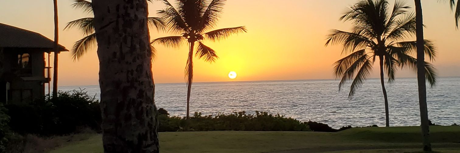 EileenBegley1's profile banner image