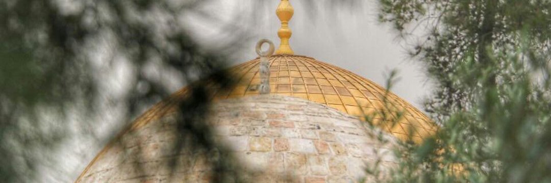 محمد مهدی فاطمی صدر's banner