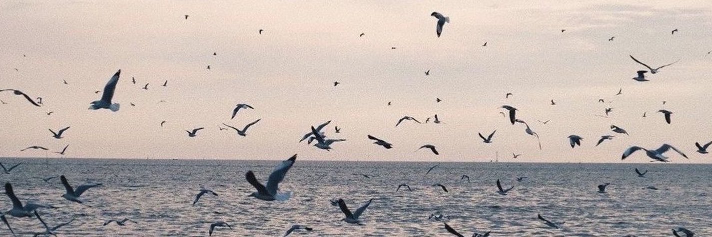 clllccccc's profile banner image