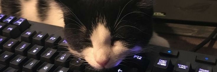 flobrie's profile banner image