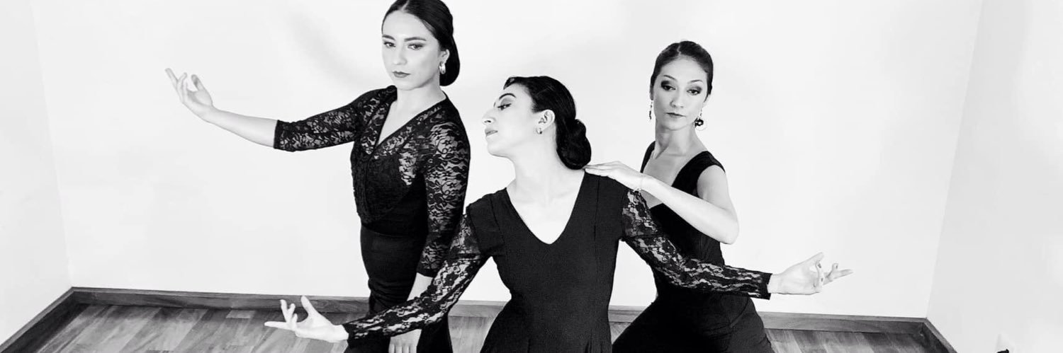CherryLadytron's profile banner image