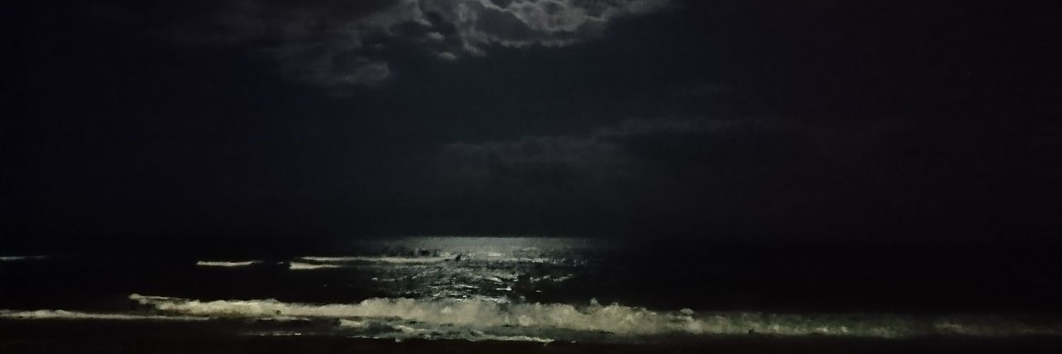 jszhang's profile banner image