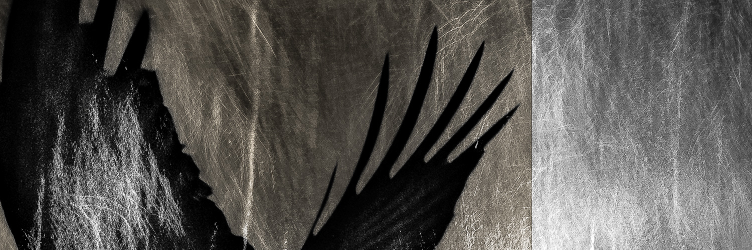 davethackwell's profile banner image
