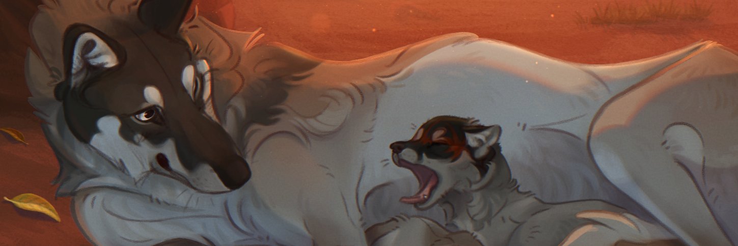 notes28's profile banner image
