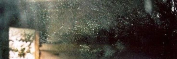 ليث banner
