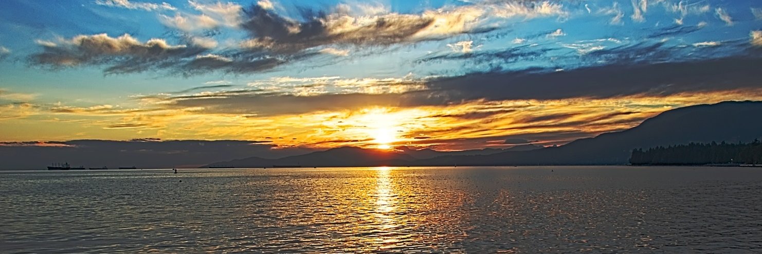 PedersonAnn's profile banner image
