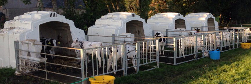 Teemore Engineering banner