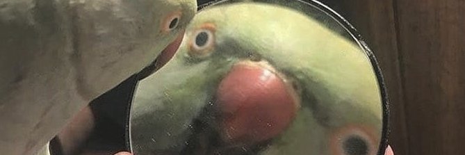 HundredCarWar's profile banner image