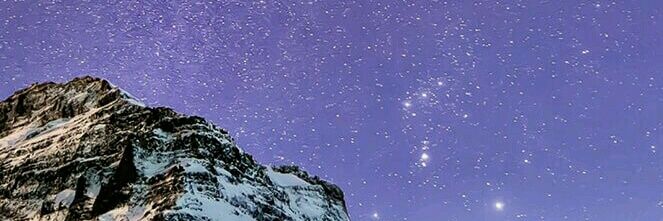 tin_risk's profile banner image