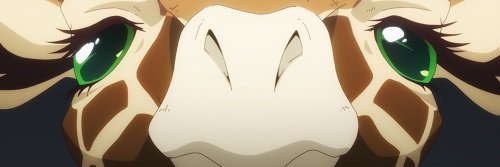 三島恵美子 banner