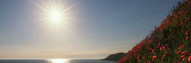 dalooo111's profile banner image