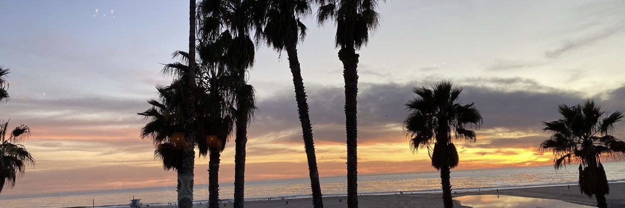 maddycaroscio's profile banner image