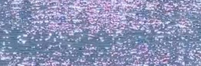 MarwaMiU's profile banner image