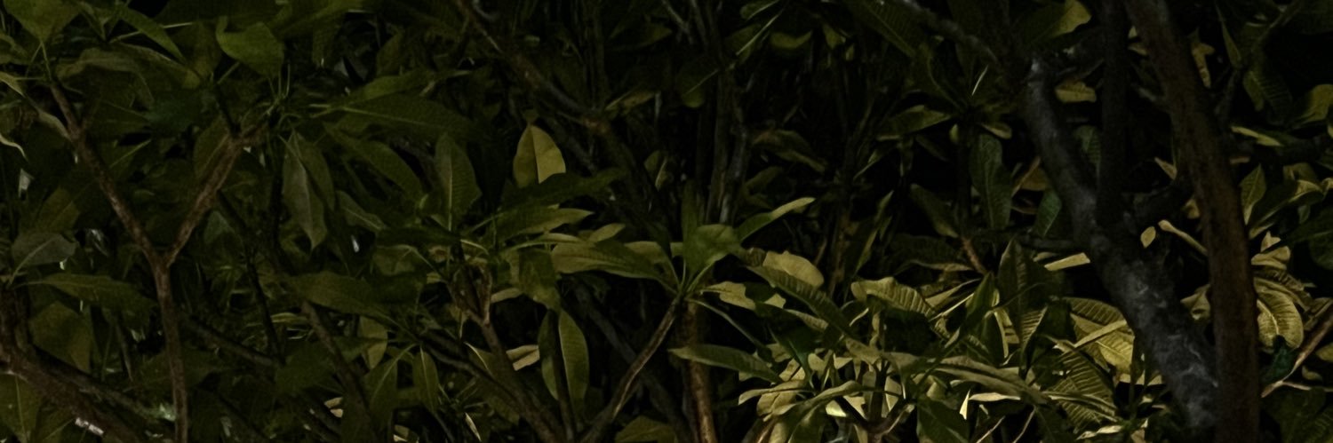 kiaranixxle's profile banner image