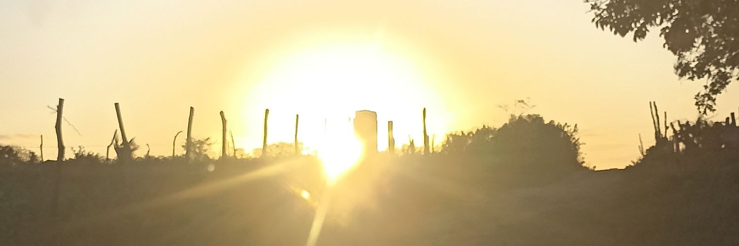 INALDOALVES's profile banner image
