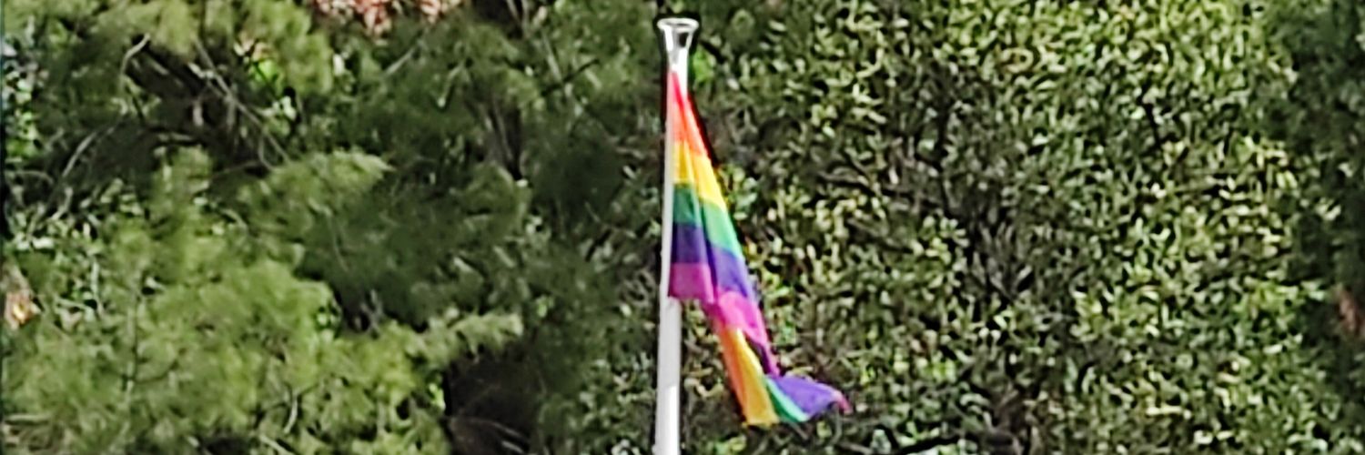 emugor 🏳️‍🌈🏳️‍⚧️ banner