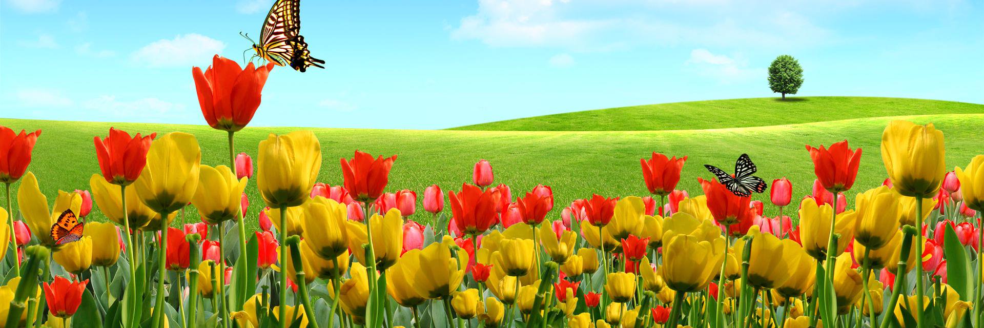 DKazl's profile banner image